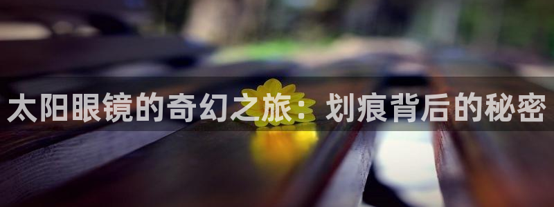 卧龙娱乐老板叫什么