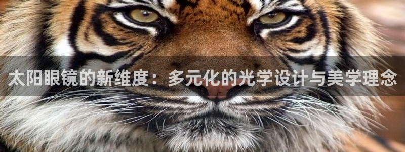 卧龙吟娱乐将