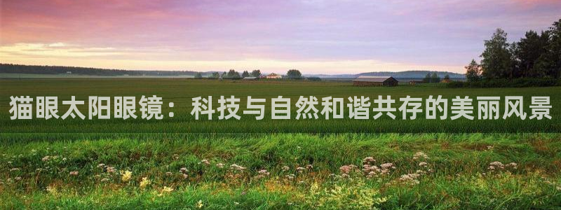 卧龙凤雏娱乐版