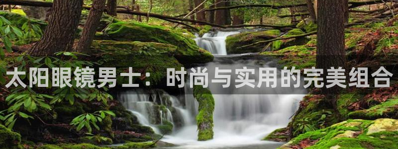卧龙休闲娱乐收藏榜
