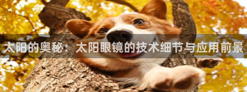 绥阳卧龙湖娱乐场所