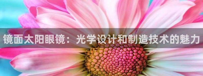 卧龙娱乐下载安装