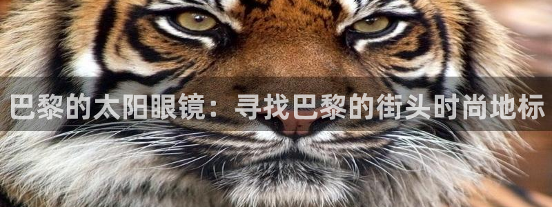 绥阳卧龙湖娱乐