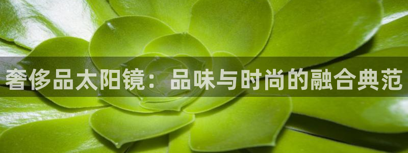 j卧龙娱乐
