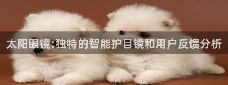 观海卧龙娱乐