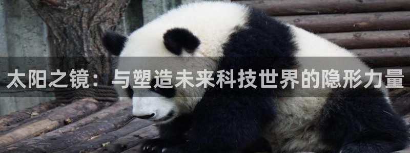 卧龙娱乐测速