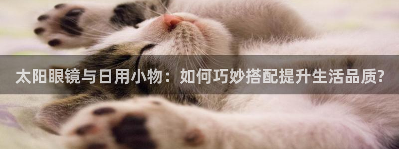卧龙娱乐招商主管