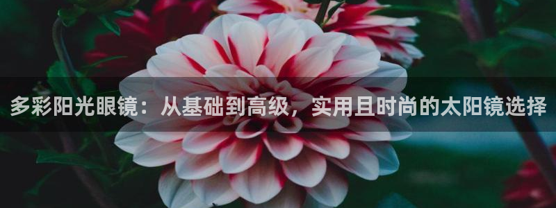 卧龙岗娱乐