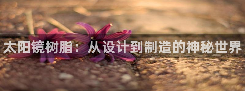 卧龙区娱乐