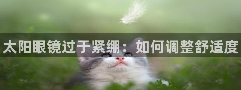 卧龙沟娱乐场