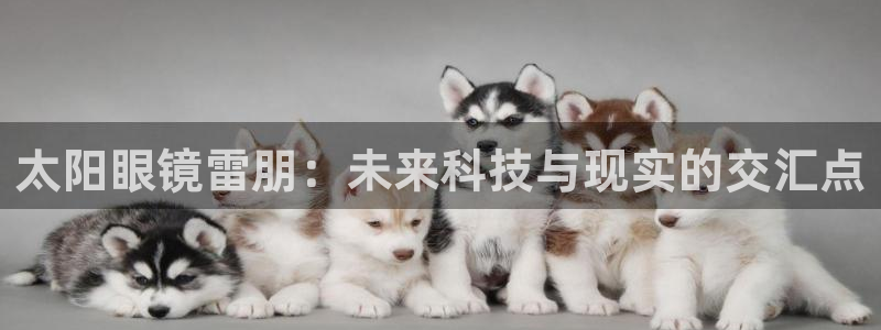 卧龙娱乐代理