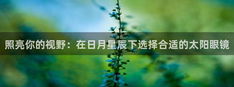 卧龙娱乐日