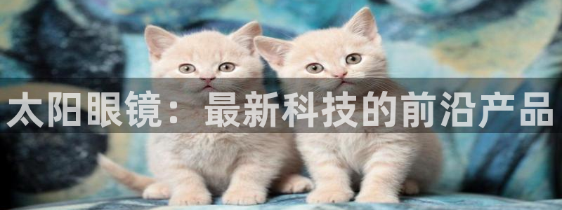卧龙冲气娱乐设备