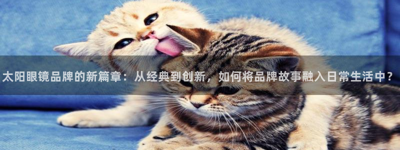 卧龙娱乐平台下载