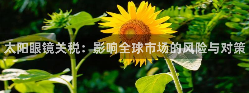 卧龙湾儿童娱乐项目价格