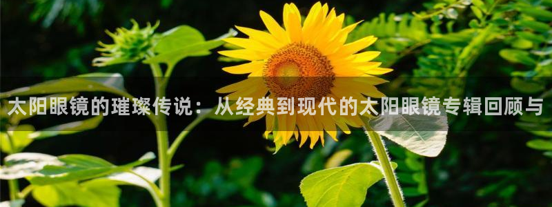 卧龙娱乐招商代理