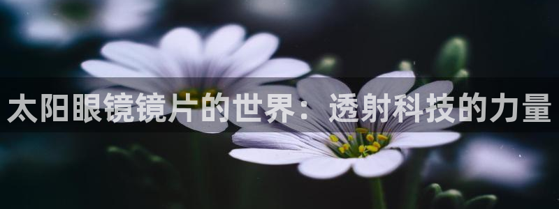 卧龙娱乐平台下载