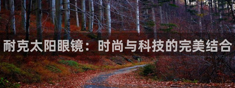 卧龙娱乐总代理是谁呀