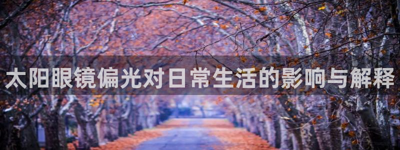 卧龙娱乐招商代理