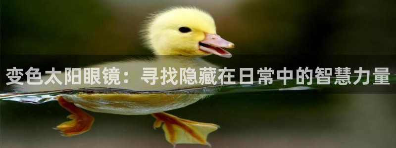 绥阳卧龙湖娱乐