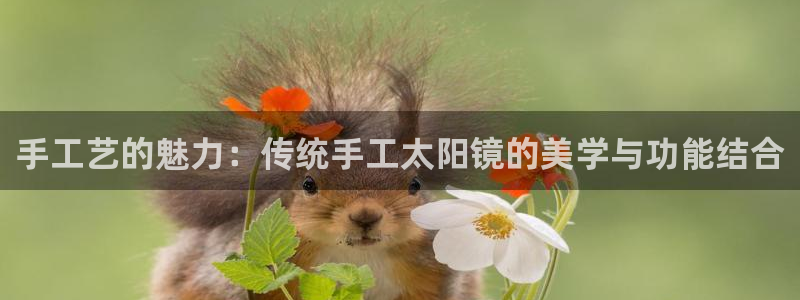 观海卧龙娱乐