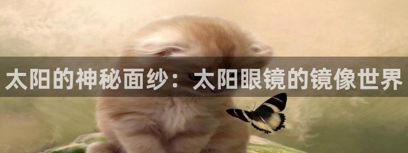 we娱乐 卧龙股东60447