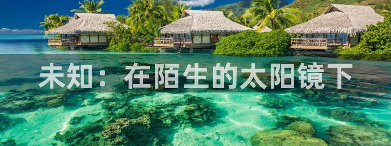 卧龙沙滩蹦床娱乐
