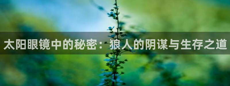 卧龙娱乐怎么样