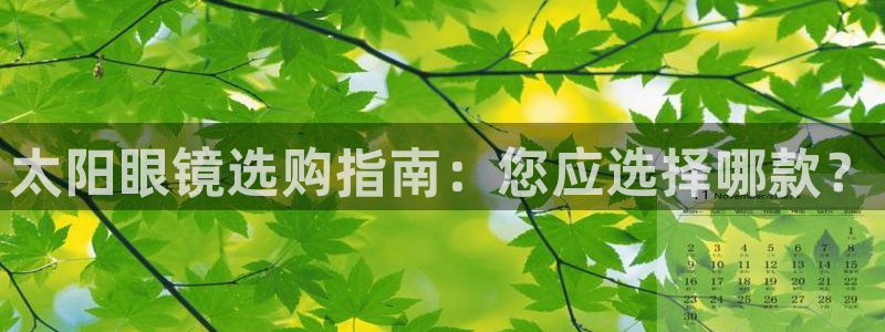 卧龙娱乐招商主管