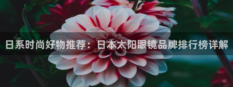 卧龙凤雏娱乐直播
