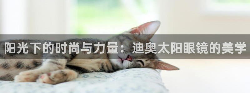卧龙娱乐号