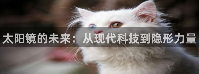 SKY娱乐 卧龙主管60447