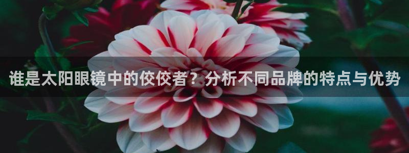 悉尼卧龙岗娱乐