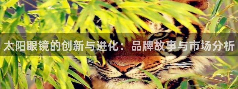 卧龙湖娱乐设施