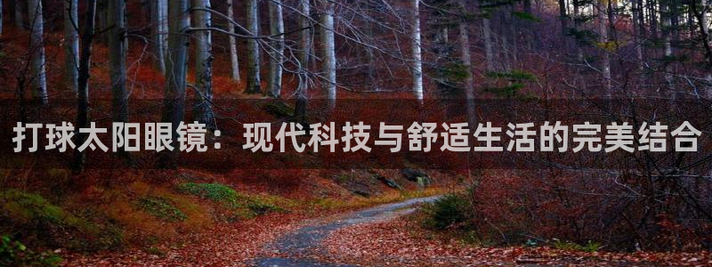 卧龙凤雏娱乐版