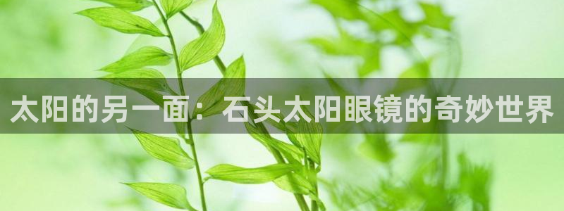 卧龙牧原娱乐设施