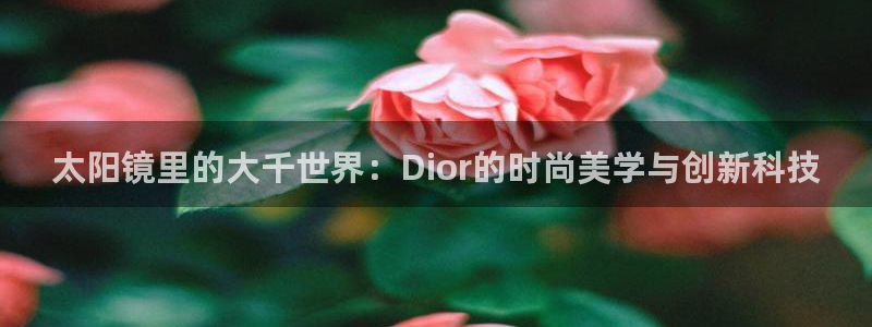 厦门卧龙台球娱乐会所
