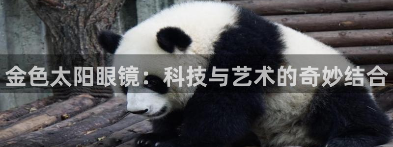 卧龙娱乐老板是谁