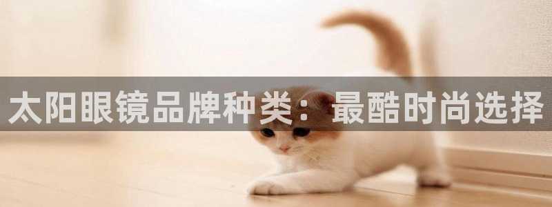 pt娱乐 卧龙招商60447