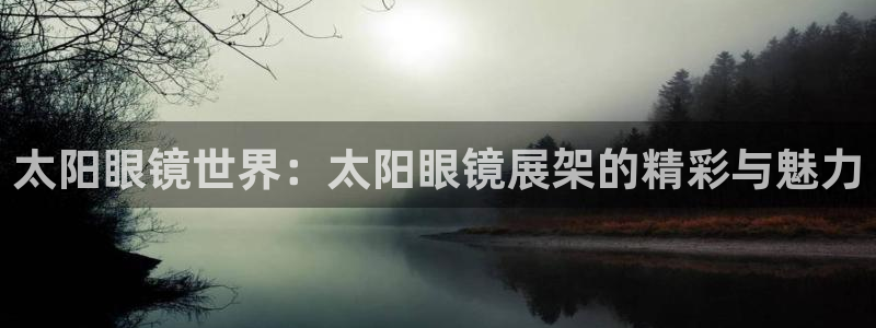 卧龙娱乐挂机平台官网
