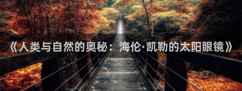 卧龙娱乐32二九01