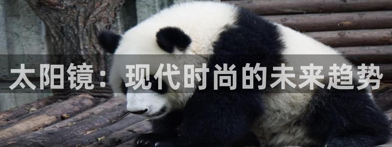 卧龙娱乐在线直播平台