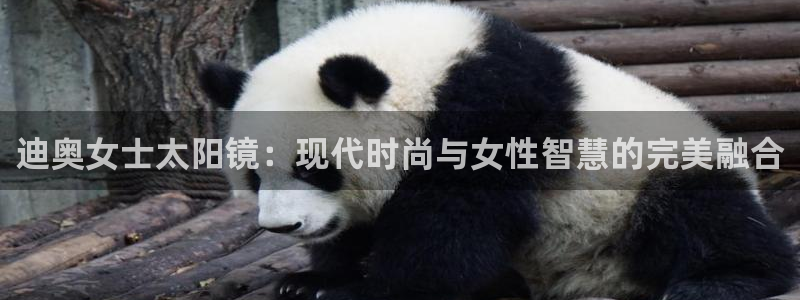 卧龙区娱乐设备