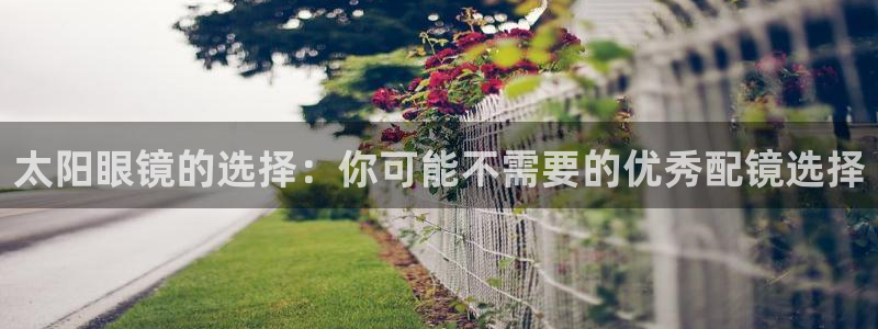 卧龙娱乐集团投注