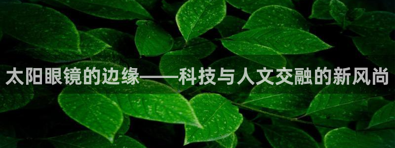 卧龙娱乐测速