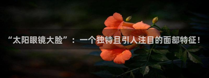 卧龙娱乐官网首页下载