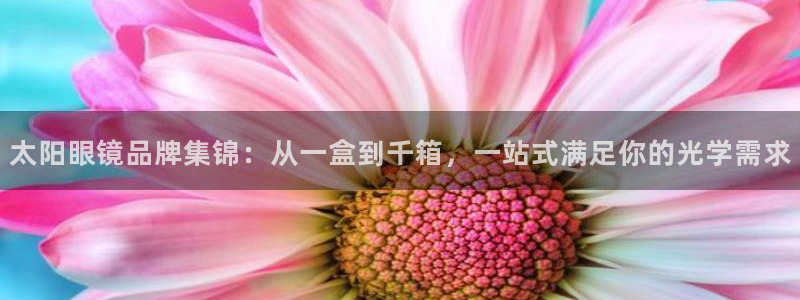 观海卧龙娱乐
