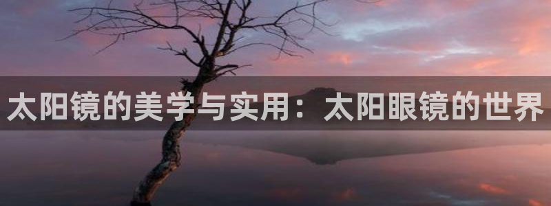 SKY娱乐卧龙招商60447