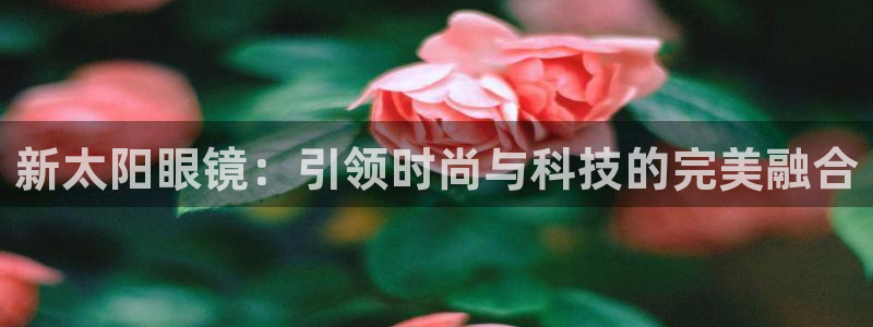 卧龙娱乐彩下载
