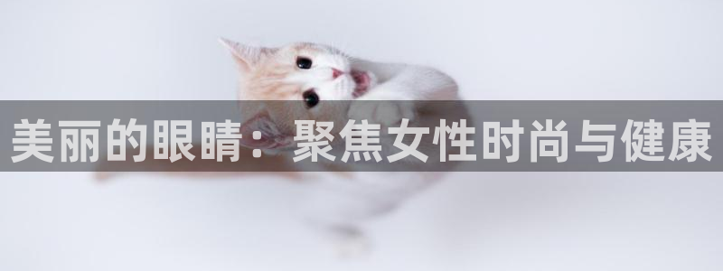 娱乐圈卧龙凤雏